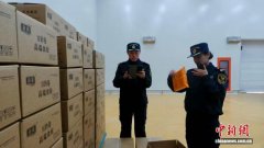 甘肃陇南豆成品初次出口哥伦比亚